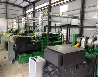 云南某发电项目配优德88800kw/10.5kv 高压发电机