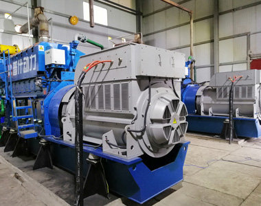 丰都甘泰沼气发电项目配优德882台850KW/10.5KV6极高压发电机
