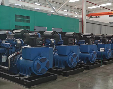 优德88500KW/400V陆用发电机应用于某养殖场项目