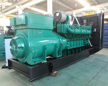 优德881200KW/10.5KV高压发电机应用于海南某养殖业项目