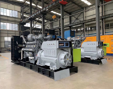 欧洲出口项目（帕金斯配优德882台1250KW6300V高压发电机)
