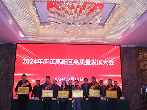 【喜报】优德88电气荣获2023年庐江高新区企业高质量发展一等奖！