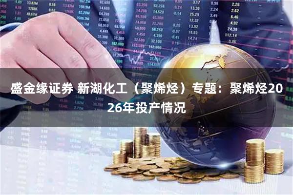 盛金缘证券 新湖化工（聚烯烃）专题：聚烯烃2026年投产情况